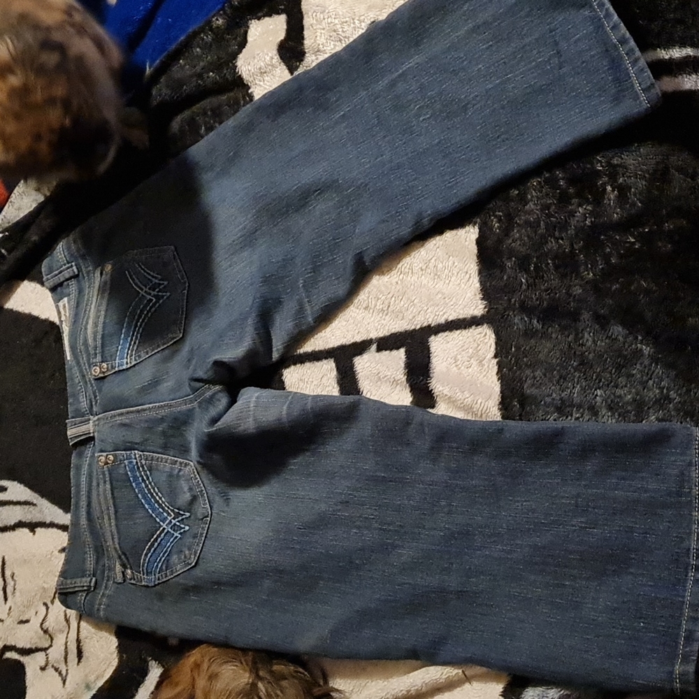 Capris - Picture 1 of 2